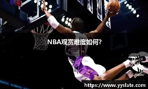 NBA观赏难度如何？