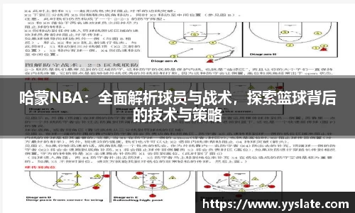 哈蒙NBA：全面解析球员与战术，探索篮球背后的技术与策略